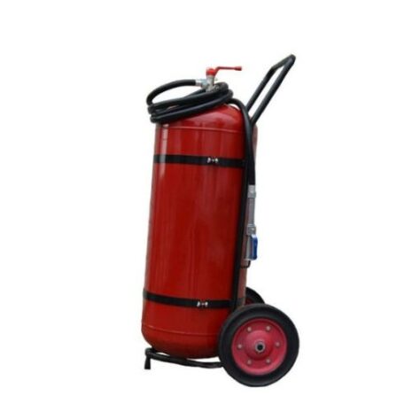 p100-500x502 p100-500x502