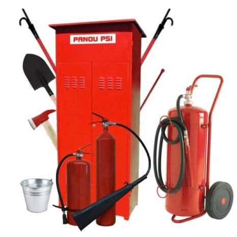 pichetechipare-speciala pichetechipare-speciala