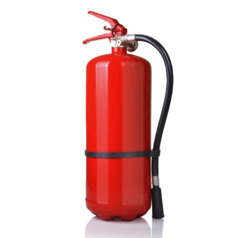 stingator-p6-cu-pulbere-2 stingator-p6-cu-pulbere-2