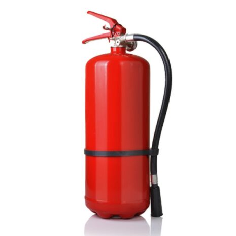 stingator-p6-cu-pulbere-3 stingator-p6-cu-pulbere-3